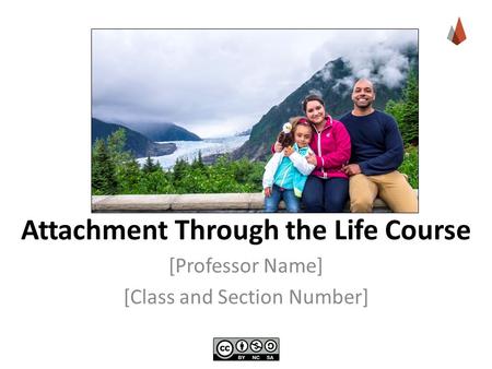 Attachment Through the Life Course [Professor Name] [Class and Section Number]