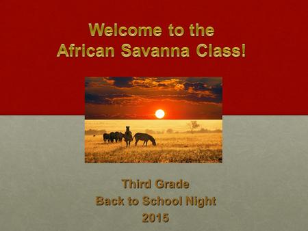 Third Grade Back to School Night 2015. 12th year at MTES 12th year at MTES Bachelor of Arts in English from Rutgers University Bachelor of Arts in English.