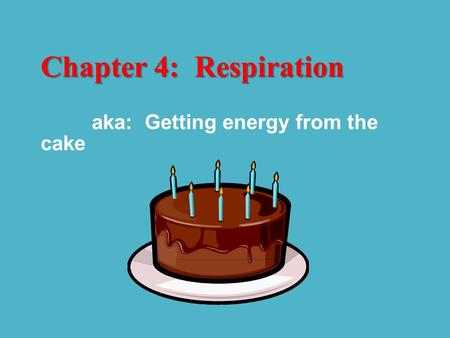 Chapter 4: Respiration aka: Getting energy from the cake.