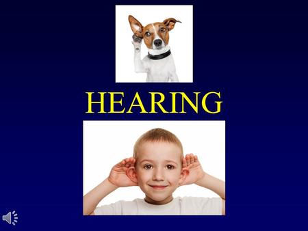 HEARING. The Nature of Sound Sound, like light, comes in waves Sound is vibration Features of sound include: –Pitch / Hertz – Loudness / Decibels.