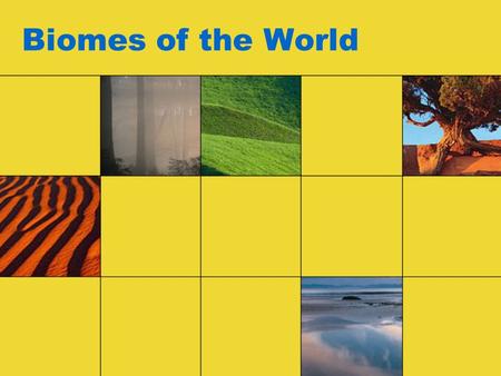 Biomes of the World.