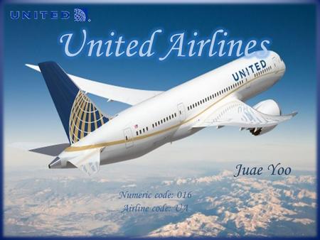 United Airlines Juae Yoo Numeric code: 016 Airline code: UA.