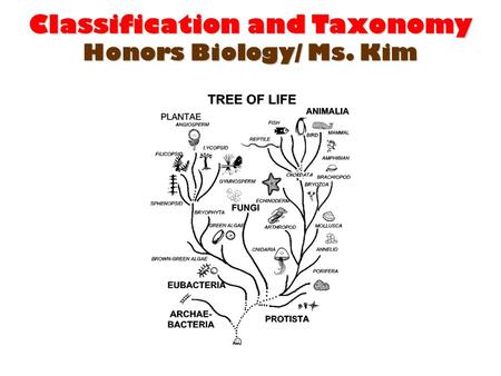 Classification and Taxonomy Honors Biology/ Ms. Kim