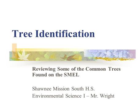 Tree Identification Reviewing Some of the Common Trees Found on the SMEL Shawnee Mission South H.S. Environmental Science I – Mr. Wright.