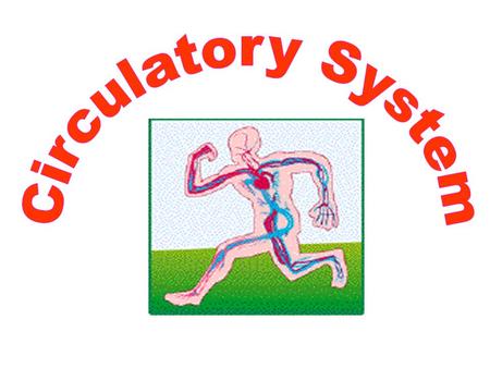 Circulatory System.