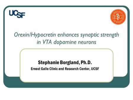 Orexin/Hypocretin enhances synaptic strength in VTA dopamine neurons Stephanie Borgland, Ph.D. Ernest Gallo Clinic and Research Center, UCSF.