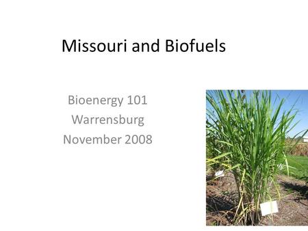 Missouri and Biofuels Bioenergy 101 Warrensburg November 2008.