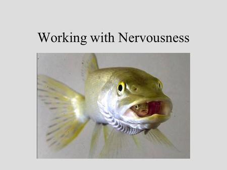 Working with Nervousness Nervousness is Normal Learn to accept and work with your nervousness. Let it give you energy to plan the presentation. Let it.