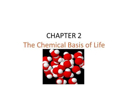 CHAPTER 2 The Chemical Basis of Life