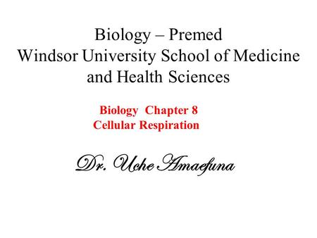 Biology – Premed Windsor University School of Medicine and Health Sciences Dr. Uche Amaefuna Biology Chapter 8 Cellular Respiration.