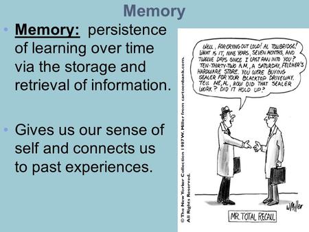 Memory Memory: persistence of learning over time via the storage and retrieval of information. Gives us our sense of self and connects us to past experiences.