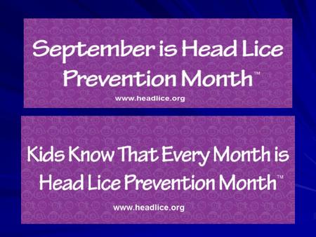 What are head lice (Pediculus Humanus Capitis)?