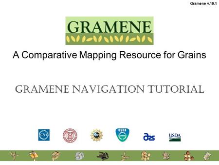 A Comparative Mapping Resource for Grains Gramene Navigation Tutorial Gramene v.19.1.