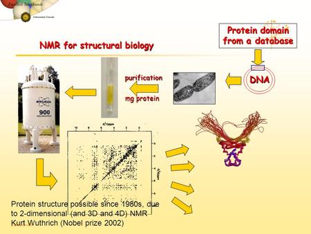 JG/10-09 NMR for structural biology DNA purification Protein domain from a database Protein structure possible since 1980s, due to 2-dimensional (and 3D.