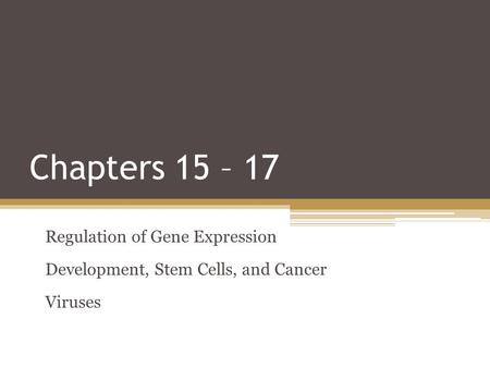 Chapters 15 – 17 Regulation of Gene Expression Development, Stem Cells, and Cancer Viruses.