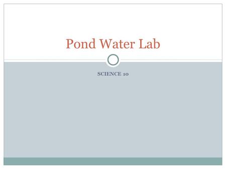 SCIENCE 10 Pond Water Lab. During the Lab… Obtain pond water sample from side of class Try to get water from sides or near bottom Use a small drop Keep.