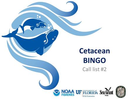 Cetacean BINGO Call list #2. 1. These small whales can be nine feet long. They can hold their breath for 8 minutes. ANSWER: Dolphin.