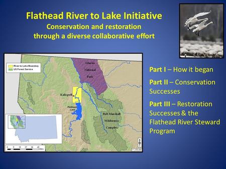 Flathead River to Lake Initiative Conservation and restoration through a diverse collaborative effort Part I – How it began Part II – Conservation Successes.