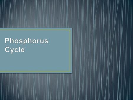 Is an essential nutrient for plants and animals in the form of ions. Phosphorus is also a building block of certain parts of the human and animal body.