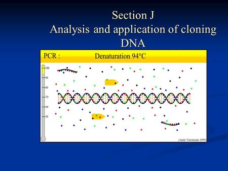 Section J Analysis and application of cloning DNA.