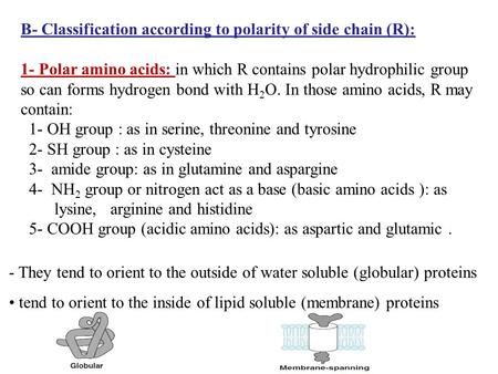 B- Classification according to polarity of side chain (R):