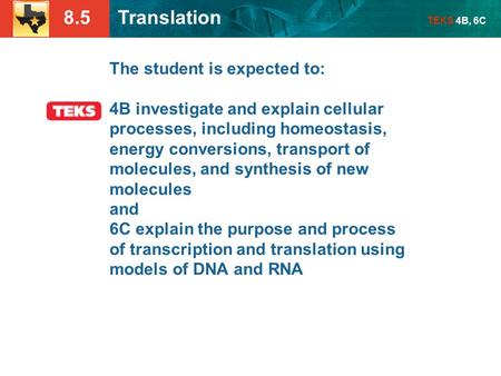 The student is expected to: 4B investigate and explain cellular processes, including homeostasis, energy conversions, transport of molecules, and synthesis.