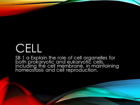 Cell SB 1 a Explain the role of cell organelles for both prokaryotic and eukaryotic cells, including the cell membrane, in maintaining homeostasis and.