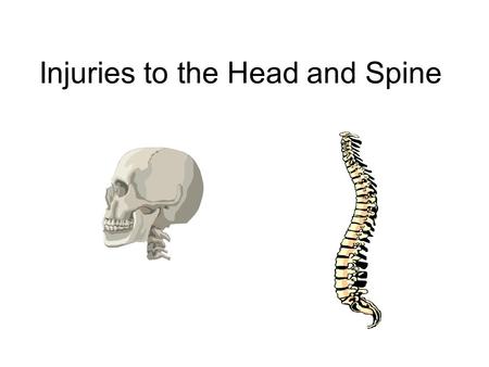 Injuries to the Head and Spine. The Head Head –Bones of the cranium face teeth –Brain –Brain Stem.