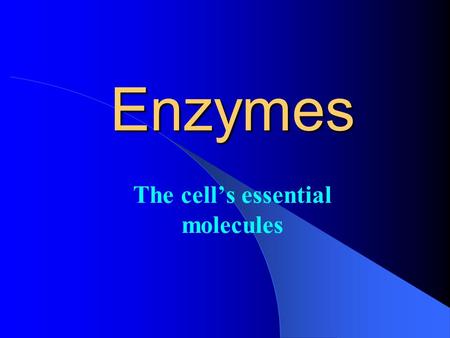 The cell’s essential molecules