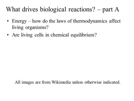 What drives biological reactions? – part A Energy – how do the laws of thermodynamics affect living organisms? Are living cells in chemical equilibrium?