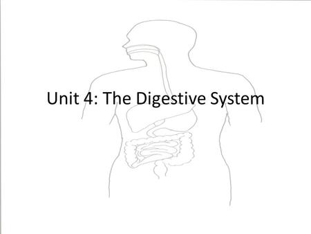 Unit 4: The Digestive System. Essential Questions What are the structures and functions of the digestive system? What are some common disorders of the.