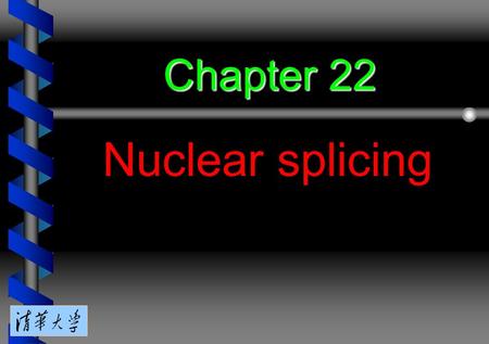 Chapter 22 Nuclear splicing. 22.1 Introduction 22.2 Nuclear splice junctions are short sequences 22.3 Splice junctions are read in pairs 22.4 Nuclear.