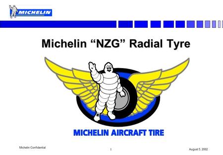 Michelin “NZG” Radial Tyre