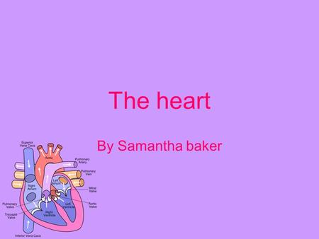 The heart By Samantha baker. Healthy heart Keeping your heart healthy is easy as cake … Examples 1. exercise regularly 2.Eat more fruit and vegetable.