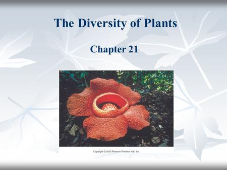 The Diversity of Plants Chapter 21. Plants are in Domain Eukarya  Immediate ancestors are green algae, a type of Protista, that lived in fresh water.