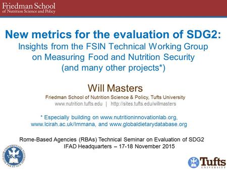 New metrics for the evaluation of SDG2: Insights from the FSIN Technical Working Group on Measuring Food and Nutrition Security (and many other projects*)