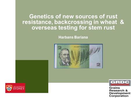 Genetics of new sources of rust resistance, backcrossing in wheat & overseas testing for stem rust Harbans Bariana.