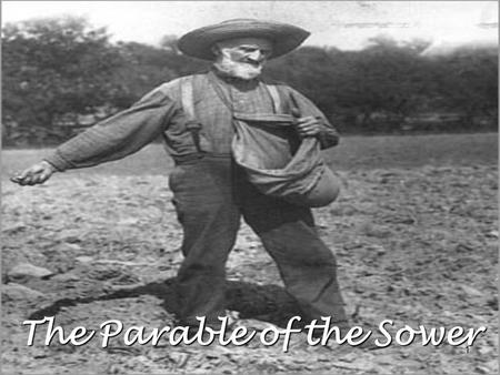 1 The Parable of the Sower. 2 The Sower The Seed The Field of Endeavor – Only One Field With Four Types of Soil Wayside Stony Thorny Good Ground.