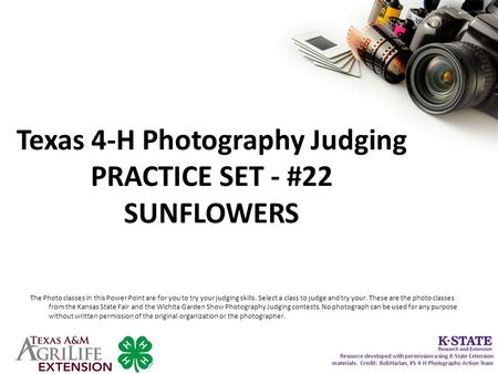 Texas 4-H Photography Judging PRACTICE SET - #22 SUNFLOWERS The Photo classes in this Power Point are for you to try your judging skills. Select a class.