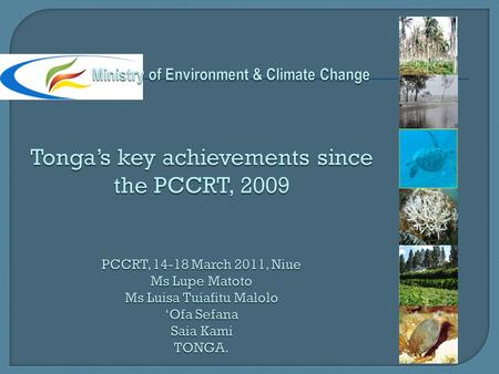  Key achievements since the PCCRT, 2009  Current climate change projects  JNAP process  JNAP Implementation status  Challenges/lessons learned 