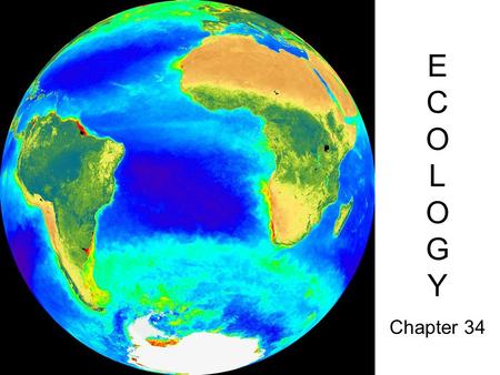 ECOLOGYECOLOGY Chapter 34. Ecology- The scientific study of how organisms interact with their environment and with each other.