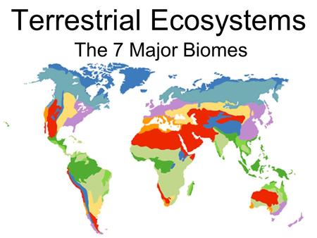 Terrestrial Ecosystems