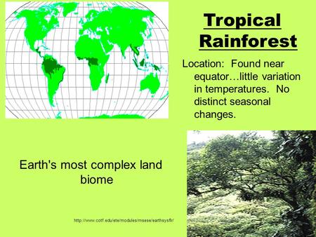 Earth's most complex land biome