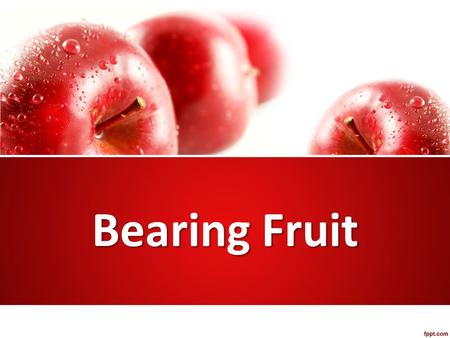 Bearing Fruit. Parable of the sower (Luke 8:4-15) Important fruit-bearing plants – Fig trees (eaten fresh, dried, jams) – Grapevines (beverage, disinfectant)