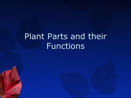 Plant Parts and their Functions