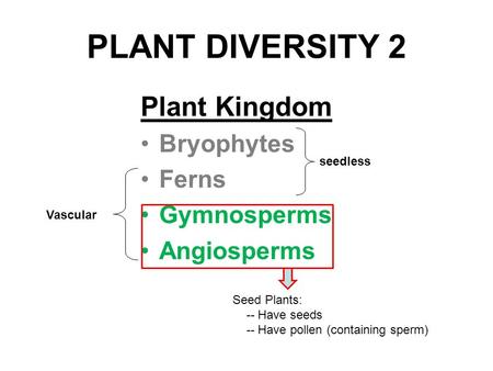 PLANT DIVERSITY 2 Plant Kingdom Bryophytes Ferns Gymnosperms