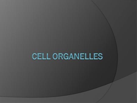 Mitochondria  Transfers energy to ATP which powers most of the cell’s reactions  “Powerhouse” of the cell.