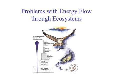 Problems with Energy Flow through Ecosystems. Energy transfer between trophic levels is inefficient Only 10% of the energy present in a given trophic.