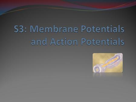 Membrane potential  Potential difference (voltage) across the cell membrane.  In all cells of the body (excitable and non- excitable).  Caused by ion.