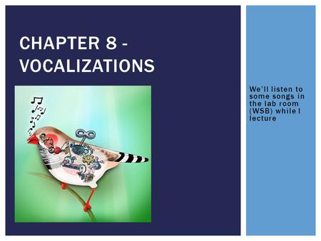 We’ll listen to some songs in the lab room (WSB) while I lecture CHAPTER 8 - VOCALIZATIONS.